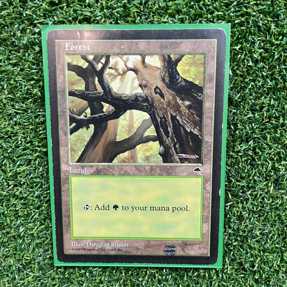 MTG Forest 1997 Douglas Shuler Art Vintage Basic Land Magic Card LP